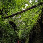 Photo taken by Caroline K