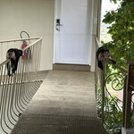 Photo taken by Randy H