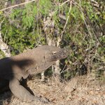 Photo taken by Uriah C