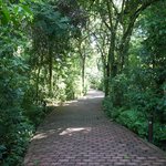 Photo taken by Deborah M