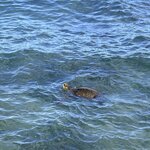 Photo taken by William B