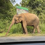 Photo taken by Inge van K