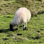 Photo taken by PAUL S