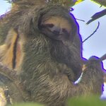 Photo taken by Darlene N