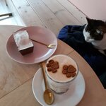 Photo taken by Denise H