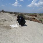 Photo taken by Kristin M