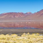 Photo taken by Mai S