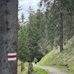 Photo taken by Laura H