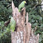 Photo taken by Charles H