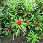 Photo taken by Pat K