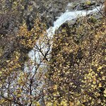 Photo taken by joyce h