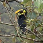 Photo taken by Steven C