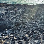 Photo taken by Katarzyna W