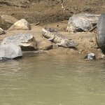 Photo taken by ted m