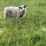 Photo taken by Janice W