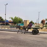 Photo taken by Kim M