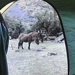 Photo taken by Kristin T