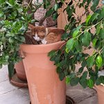 Photo taken by Lana P