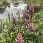 Photo taken by Queenie C