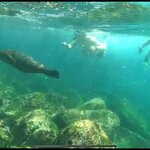 Photo taken by Stephanie A