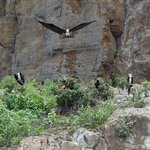 Photo taken by Ben S