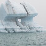 Photo taken by Amy C