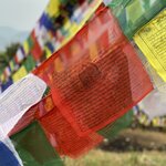 Photo taken by Rachael L