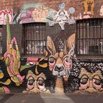 Photo taken by Dinesh A