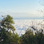 Photo taken by Laurie A