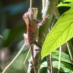 Photo taken by KLAUS A