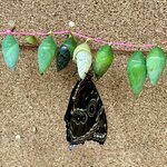 Photo taken by Ann F