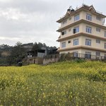 Photo taken by Terje R