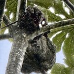 Photo taken by Ben B