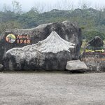 Photo taken by Joyce C