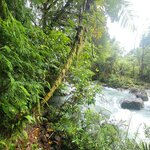 Photo taken by Darla D