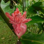 Photo taken by Brett F