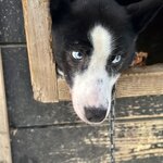 Photo taken by Christa C