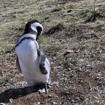 Photo taken by Martine B