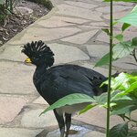 Photo taken by Donna G