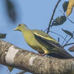 Photo taken by Graham D