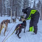 Photo taken by Sarah B