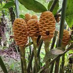 Photo taken by Lisa T