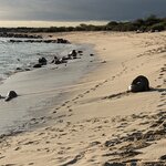 Photo taken by Jennifer A