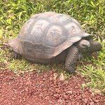 Photo taken by Carla C