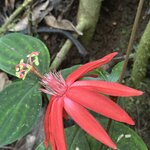 Photo taken by Randy H