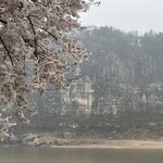 Photo taken by Mark C