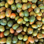 Photo taken by Ben B