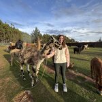 Photo taken by Emily F