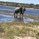 Photo taken by rhonda c