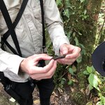 Photo taken by ted m